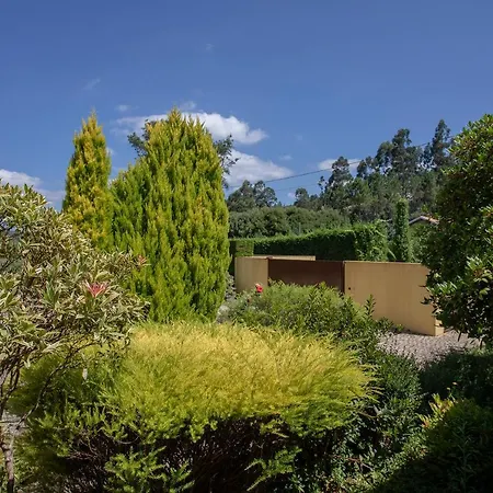 Liiiving In | Countryside Pool House Tatil Evi Caminha