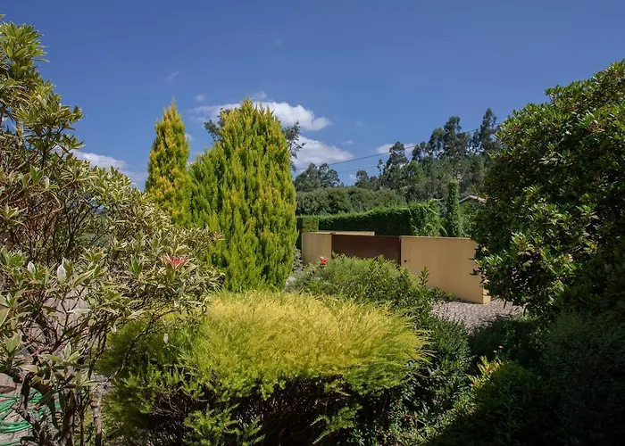 Liiiving In | Countryside Pool House Tatil Evi Caminha