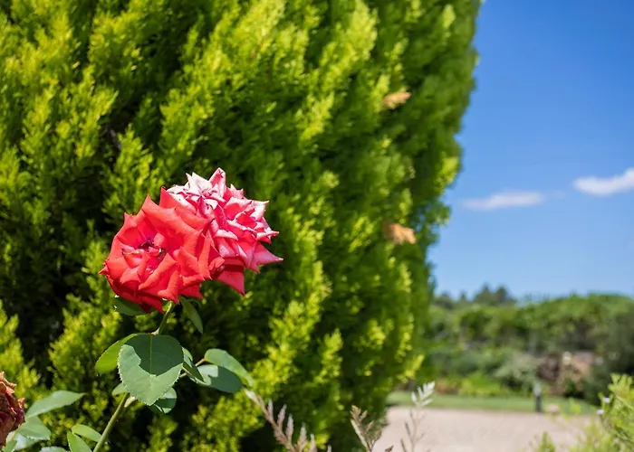 Liiiving In | Countryside Pool House Prázdninový dům Caminha